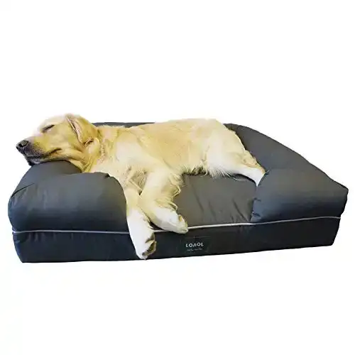 LOAOL Large Dog Bed-Orthopedic Memory Foam, Waterproof Liner & Bolster Design for Large/Extra Large Dogs, Durable, Washable Cover & Breathable Construction for a Comfortable and Relaxing Sleep