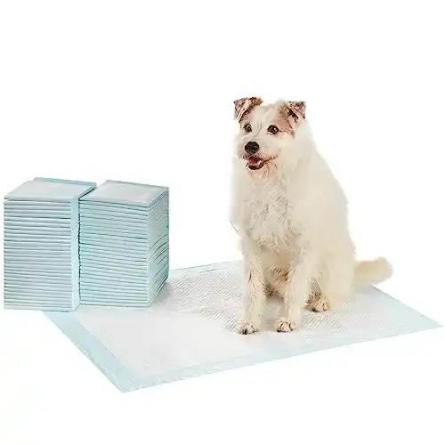 Amazon Basics Dog and Puppy Pee Pads with 5-Layer Leak-Proof Design and Quick-Dry Surface for Potty Training, Standard Absorbency, X-Large, 28 x 34 Inch - Pack of 60, Blue & White