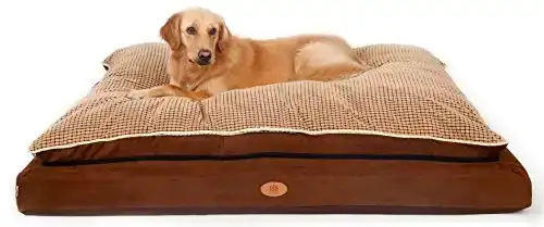 PLS Pet Paradise Orthopedic Pet Bed, Orthopedic Dog Bed, (Giant, 39Wx54L), Foam Dog Bed, Dog Beds for Large Dogs, Firm Medical Grade Foam, Plush Top, Easy-Clean