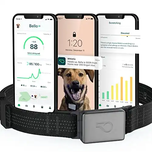 Whistle Switch GPS + Health + Fitness Smart Dog Collar, 24/7 Dog GPS Tracker Plus Dog Health & Fitness Monitor, Sleek Design, Waterproof, 2 Rechargeable Batteries, for Dogs 5lbs and up (Black) XS/...