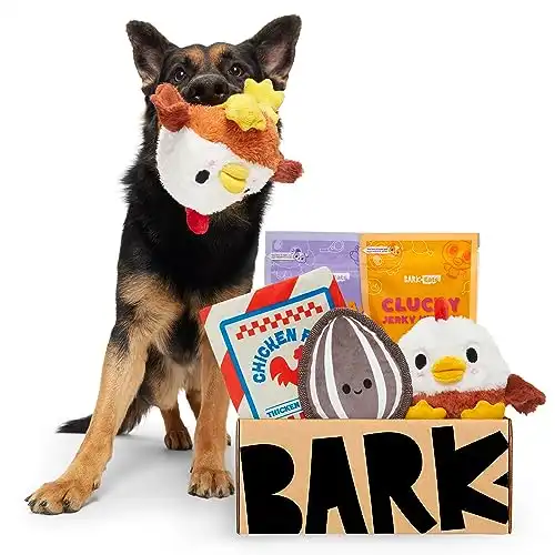 BarkBox Monthly Subscription Box, Dog Chew Toys, All Natural Dog Treats, Dental Chews, Dog Supplies Themed Monthly Box, Small Dog (0-20lb)