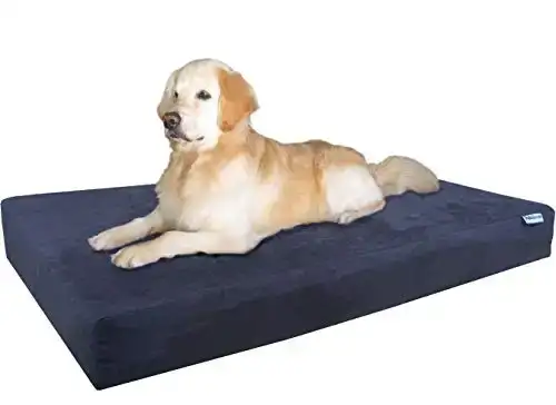 Dogbed4less Jumbo Extra Large Gel Infused Memory Foam Dog Bed with Microsuede Cover and Waterproof Liner, 55X37X8 Inches, Espresso