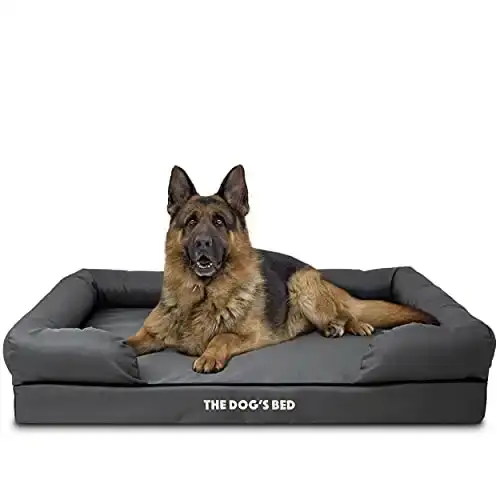 The Dog s Bed Orthopedic Dog Bed XL Grey 43.5x34, Premium Memory Foam, Pain Relief: Arthritis, Hip & Elbow Dysplasia, Post Surgery, Lameness, Supportive, Calming, Waterproof Washable Cover