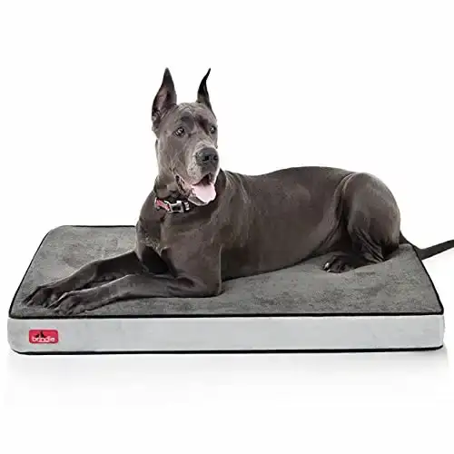 BRINDLE Waterproof Memory Foam Pet Bed - Removable and Washable Cover - 4 Inch Orthopedic Dog and Cat Bed - Fits Most Crates