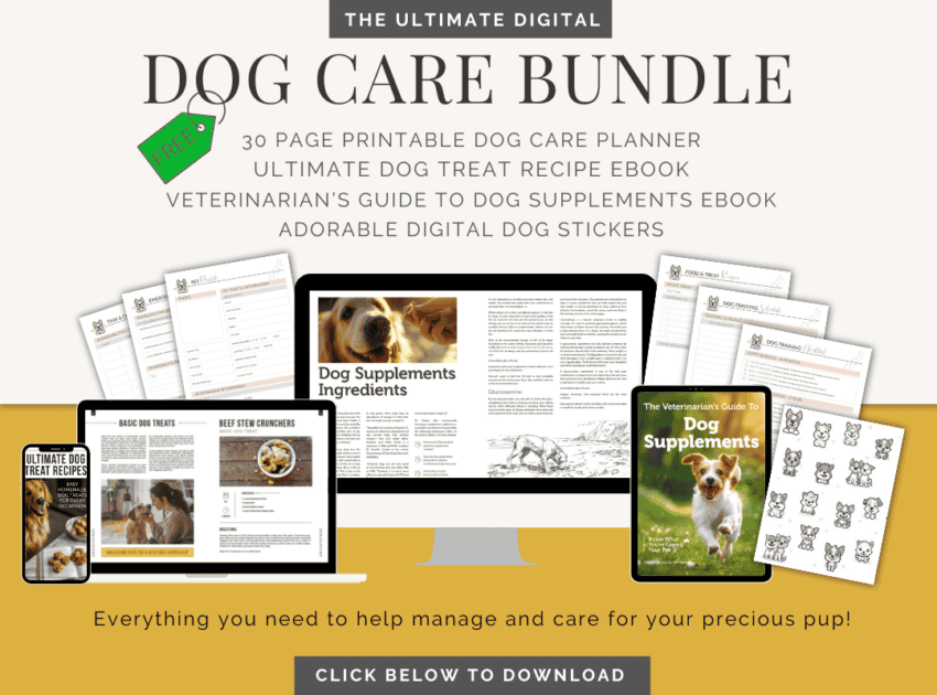 Dog Care Bundle