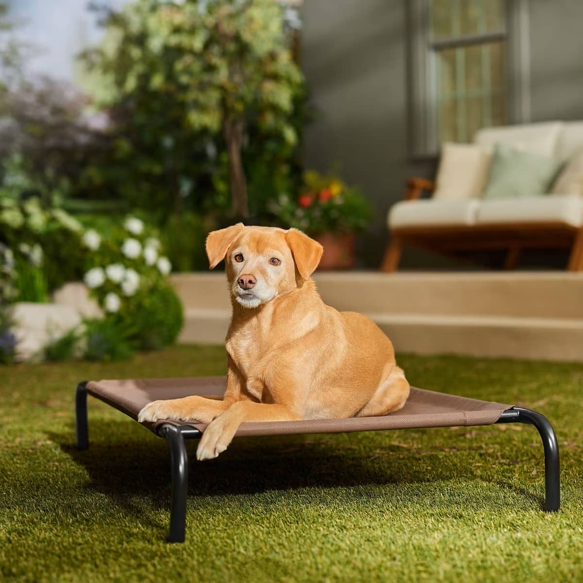 Frisco Steel-Framed Elevated Dog Bed