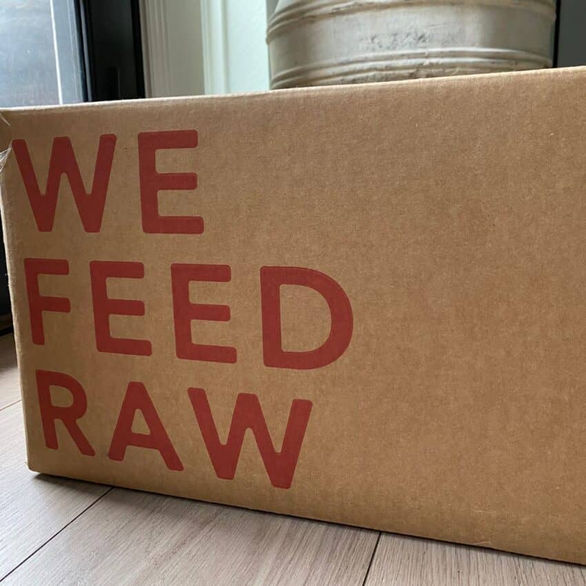 we feed raw box