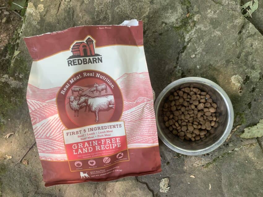 Best Dog Food for Large Breed Dogs: Top 5 Brands We Recommend