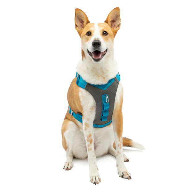 Kurgo Journey Air Dog Harness