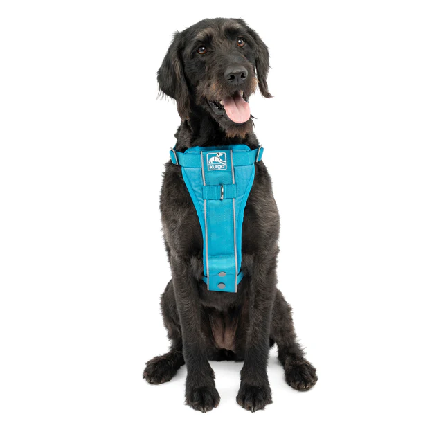 Kurgo Tru-Fit Smart Dog Walking Harness