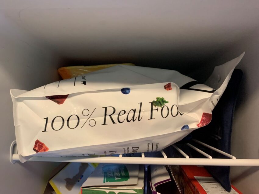 Maev in the Freezer