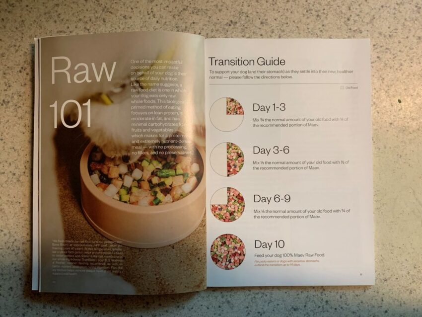Maev Transition Guide