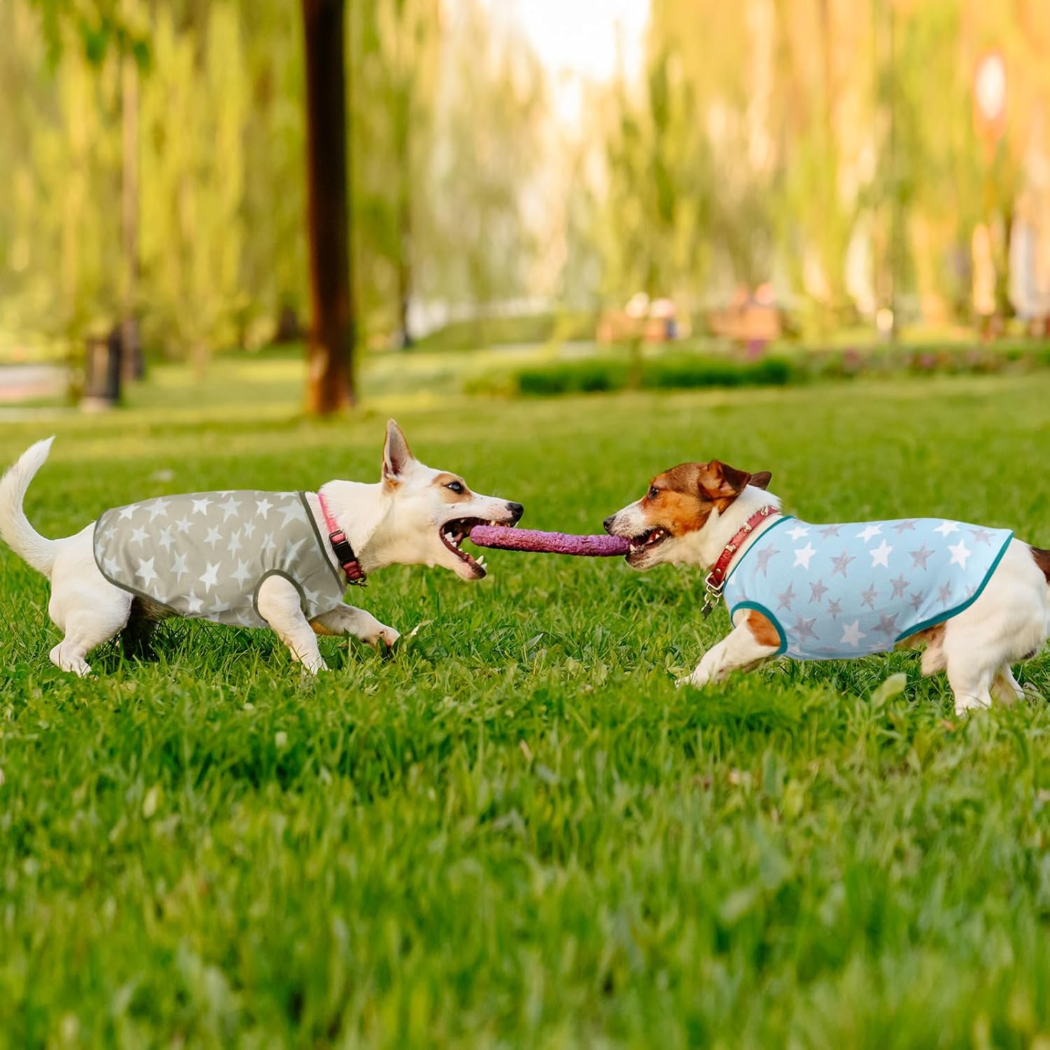 Dog Cooling Shirts by Uadonile (2-Pack)