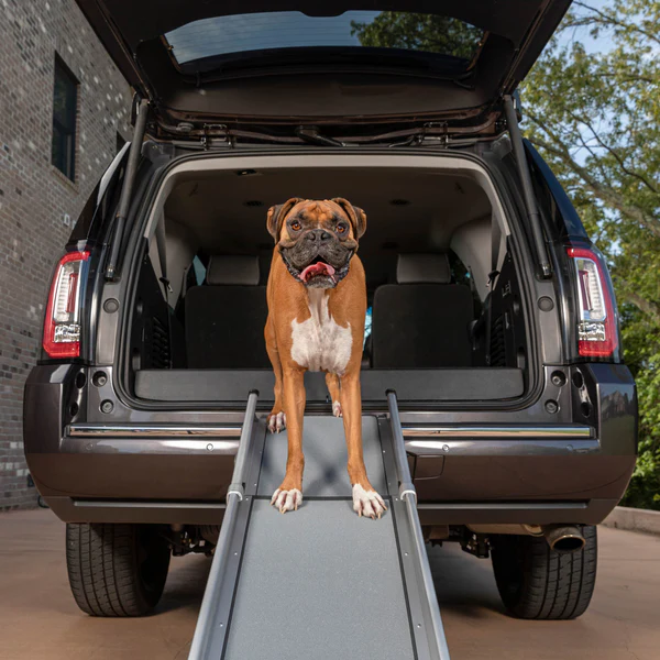 Petsafe Happy Ride® Compact Telescoping Dog Ramp