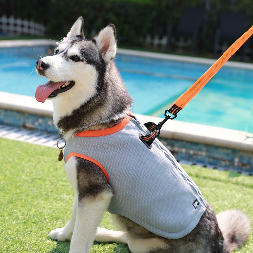 JUXZH Truelove Dog Cooling Vest Harness Cooler Jacket