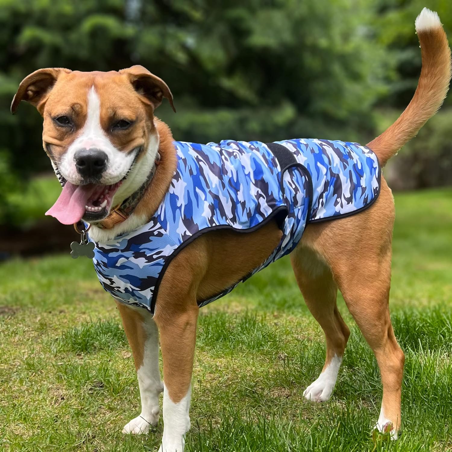 LUCOLOVE Dog Cooling Vest