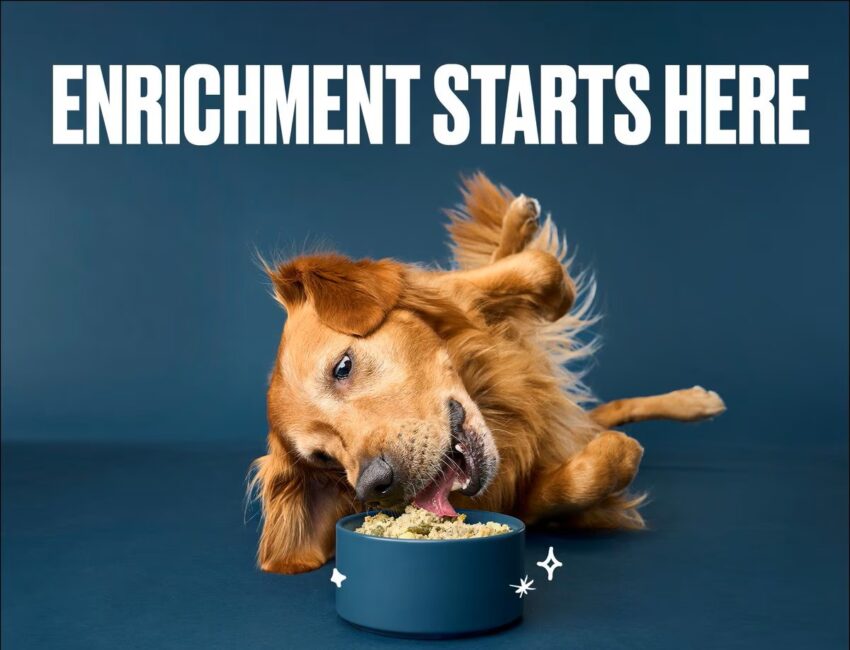Kristin Chenoweth and Nom Nom Just Made Dog Mealtime Magical