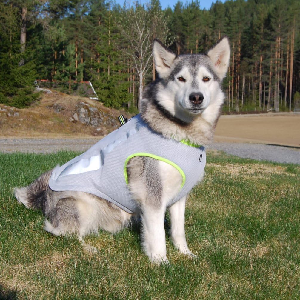 SGODA Dog Cooling Vest Harness Cooler Jacket
