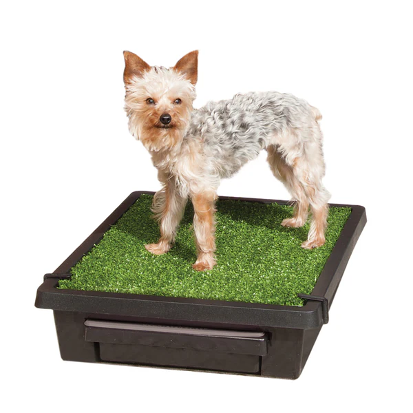 Pet Loo Pet Toilet
