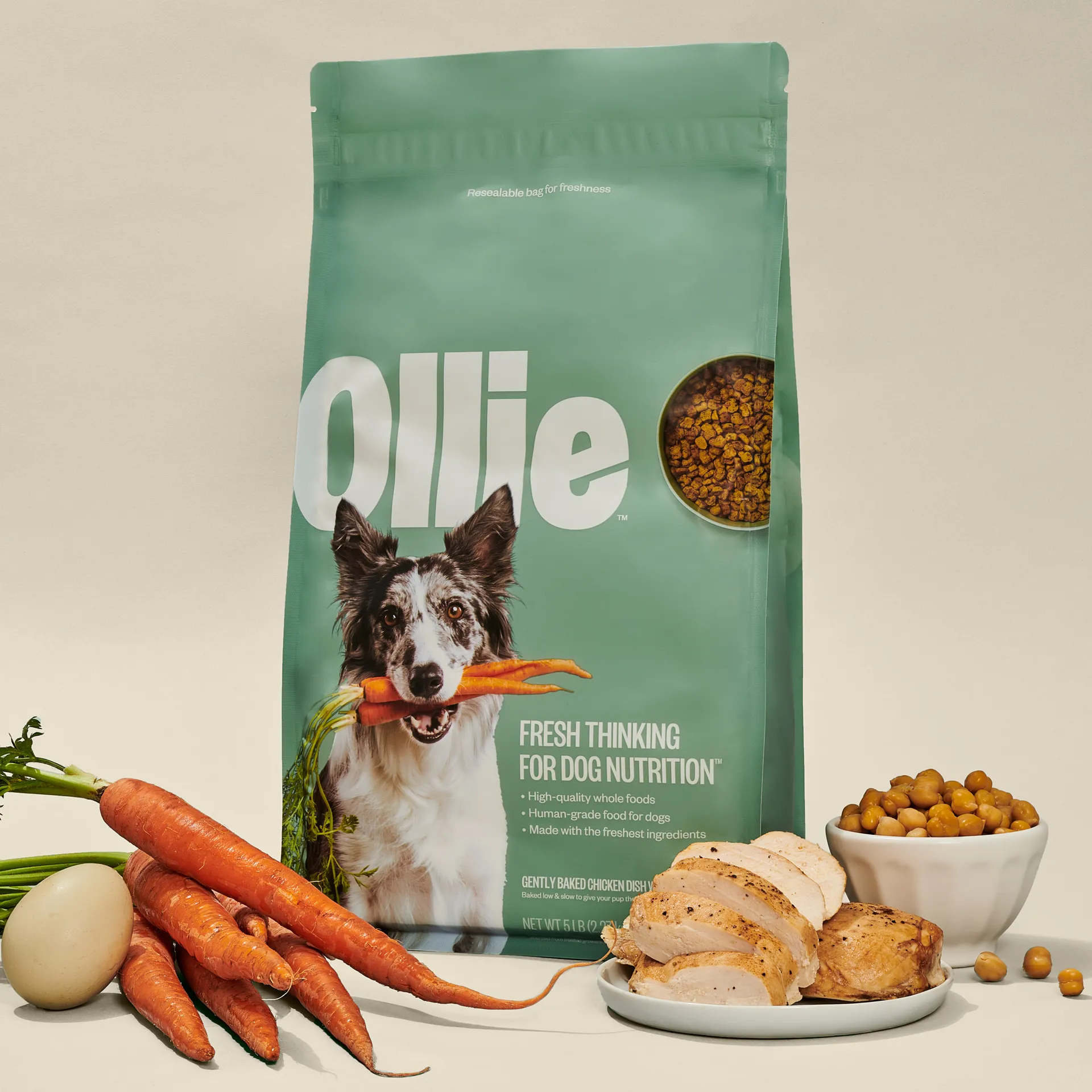 Ollie Baked Dog Food