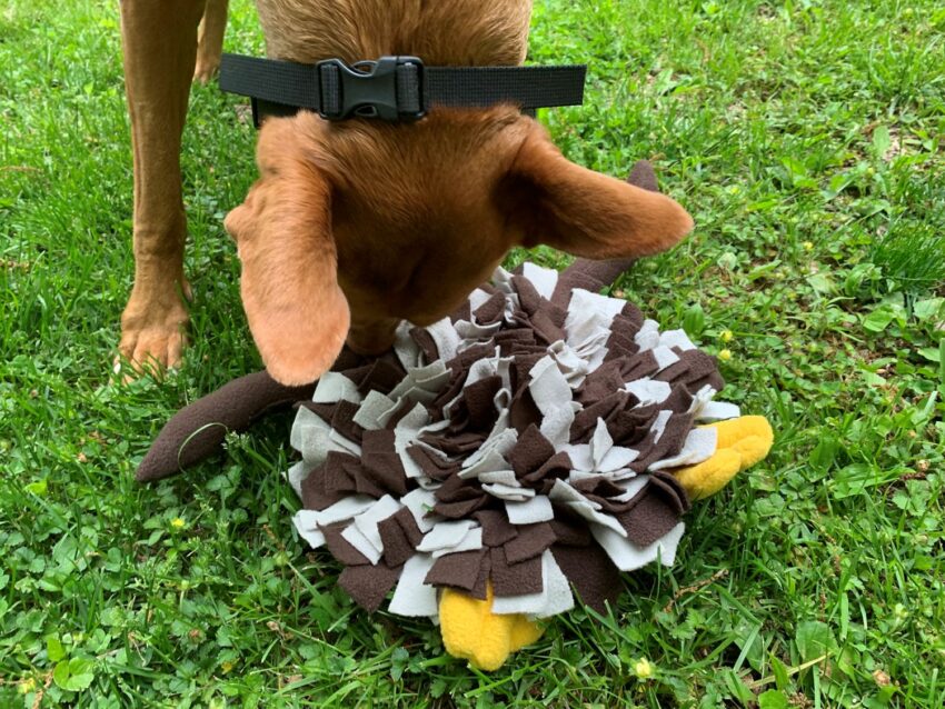LuftPets Duck Snuffle Mat