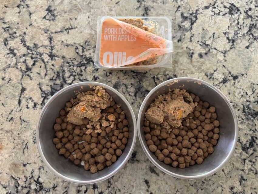 Ollie Best Dog Food for Small Dogs