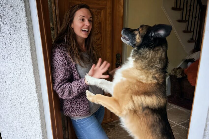 How to Train Your Dog to Greet Visitors