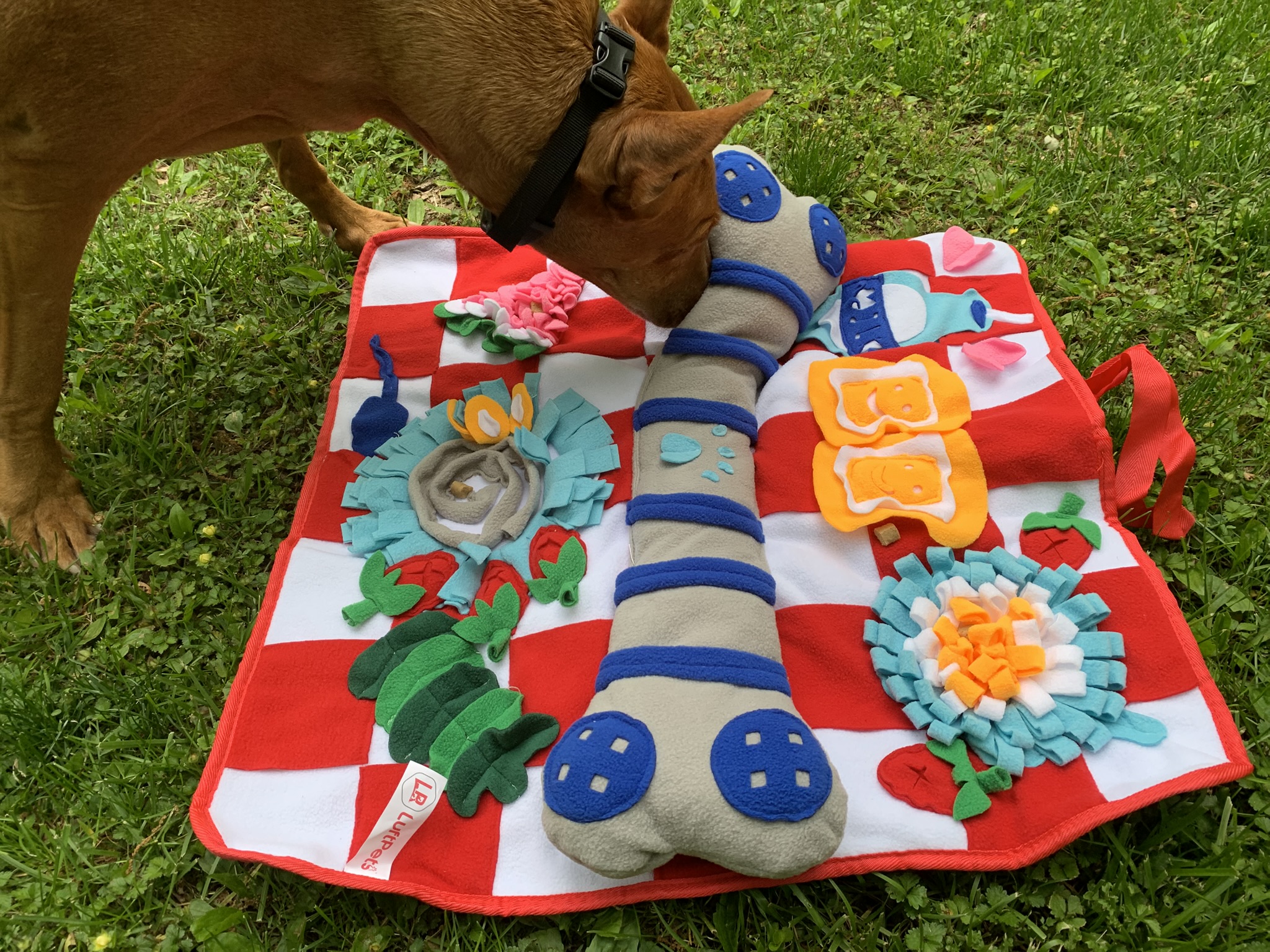 LUFTPETS Soft Snuffle Mat for Dogs