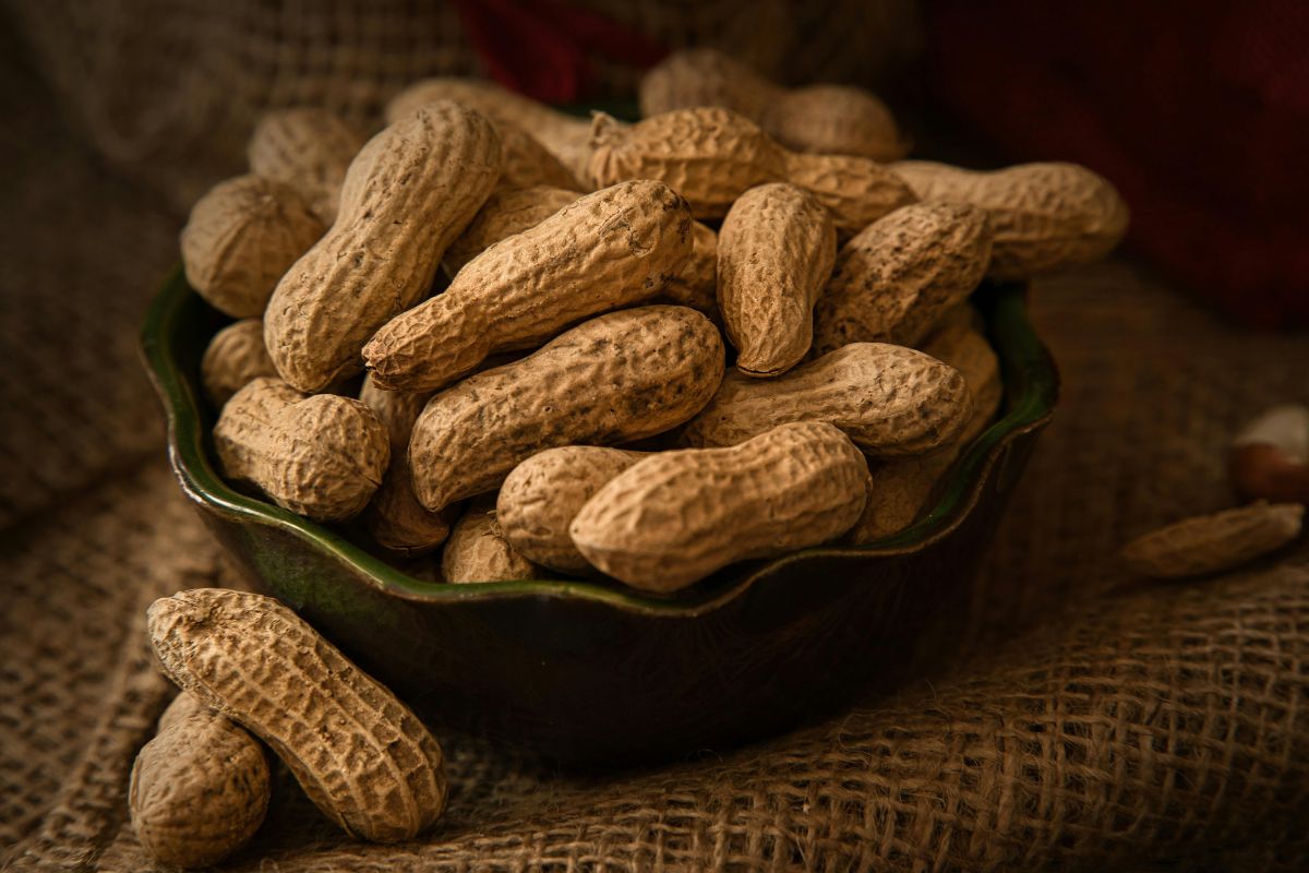Image showcasing Best Peanut Butter for Dogs: What to Look For and 5 Brands We Trust ...