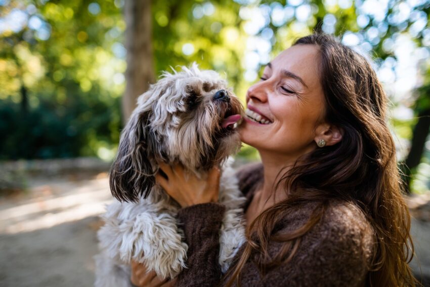 Do Dogs Remember Their Owners04