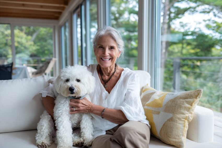 Dog Breeds for Seniors