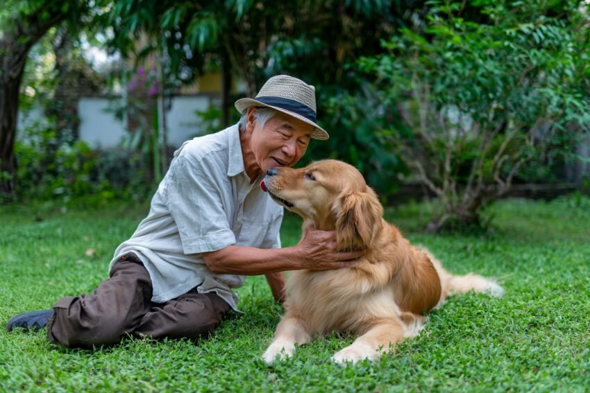 6 Reasons Why My Dog Doesn’t Want to Lick Me
