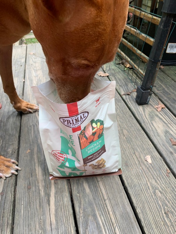 Primal Dog Food Review