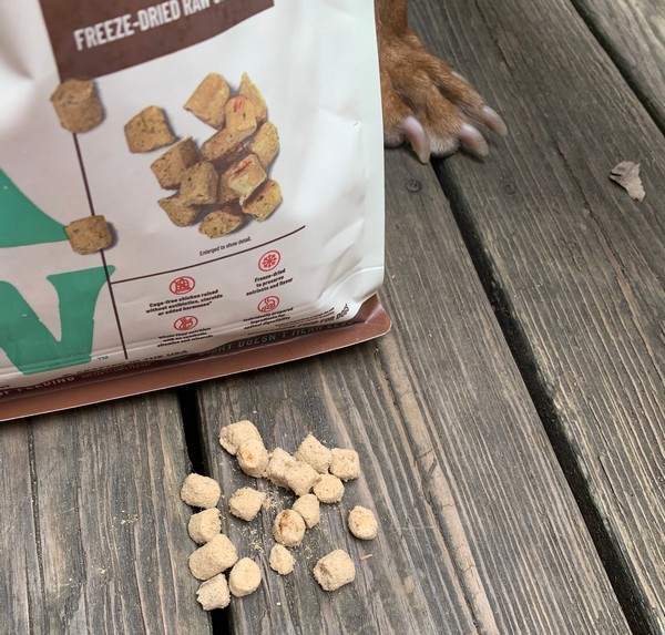 Primal Dog Food Review