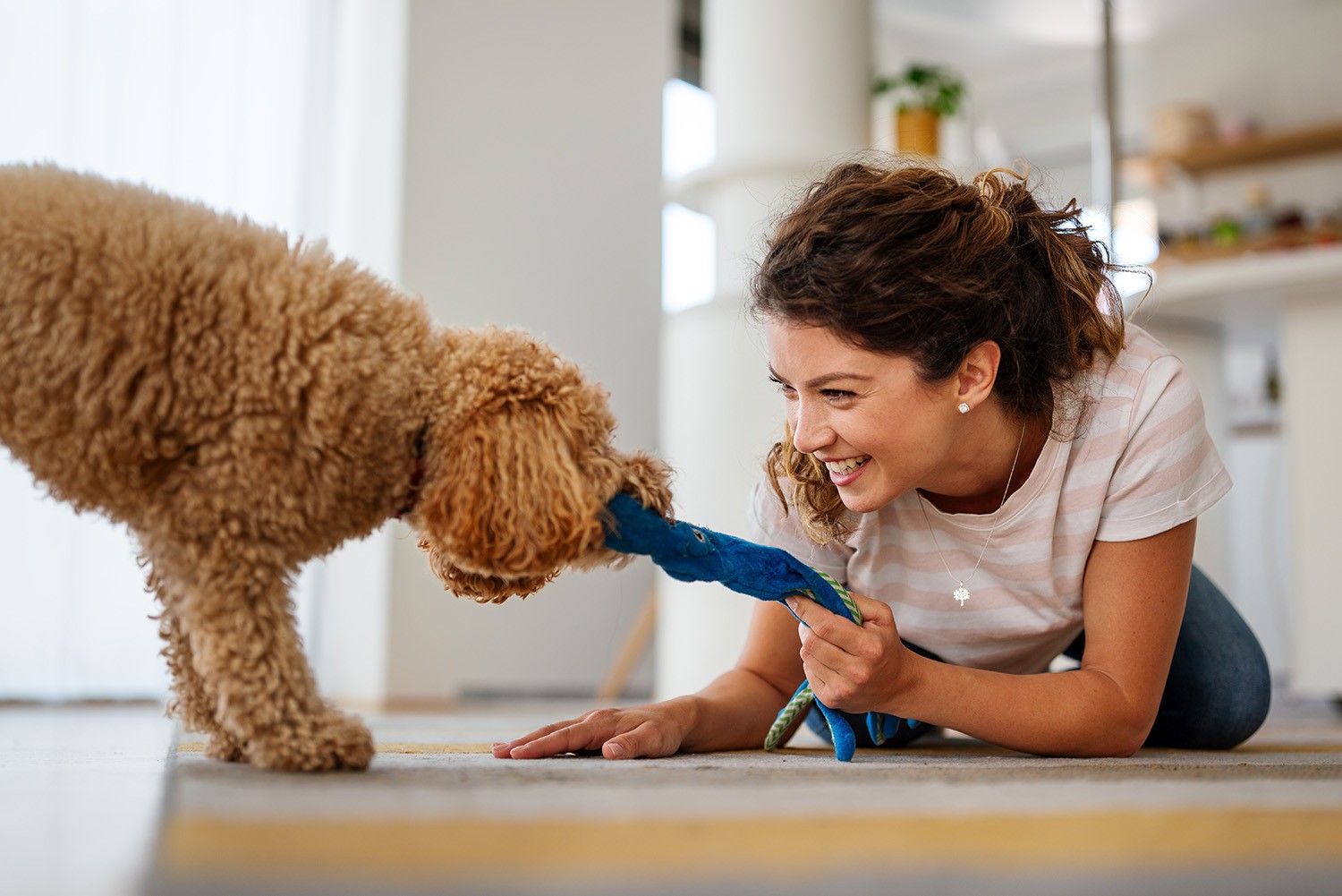How to Teach Your Dog to Drop Something on Command (In 3 Easy Steps ...