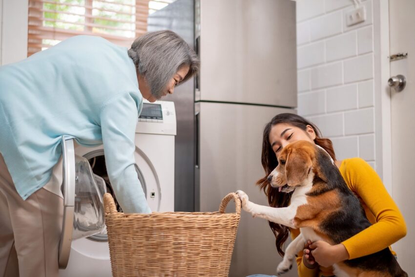 Smart Laundry Tips for Pet Owners: Automate Wash Cycles for Less Mess