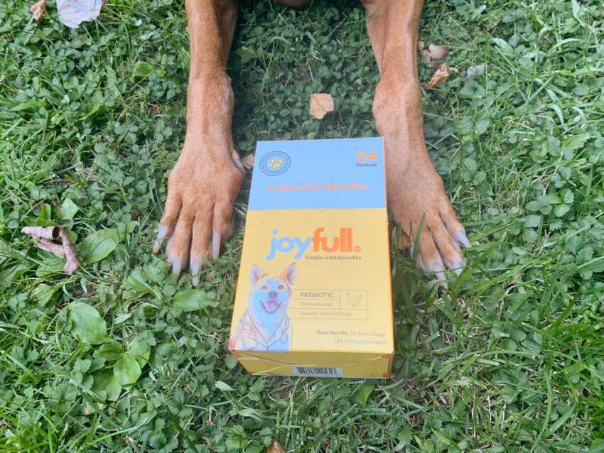Joyfull Prebiotic Chicken Squeeze Treats for Dogs Review