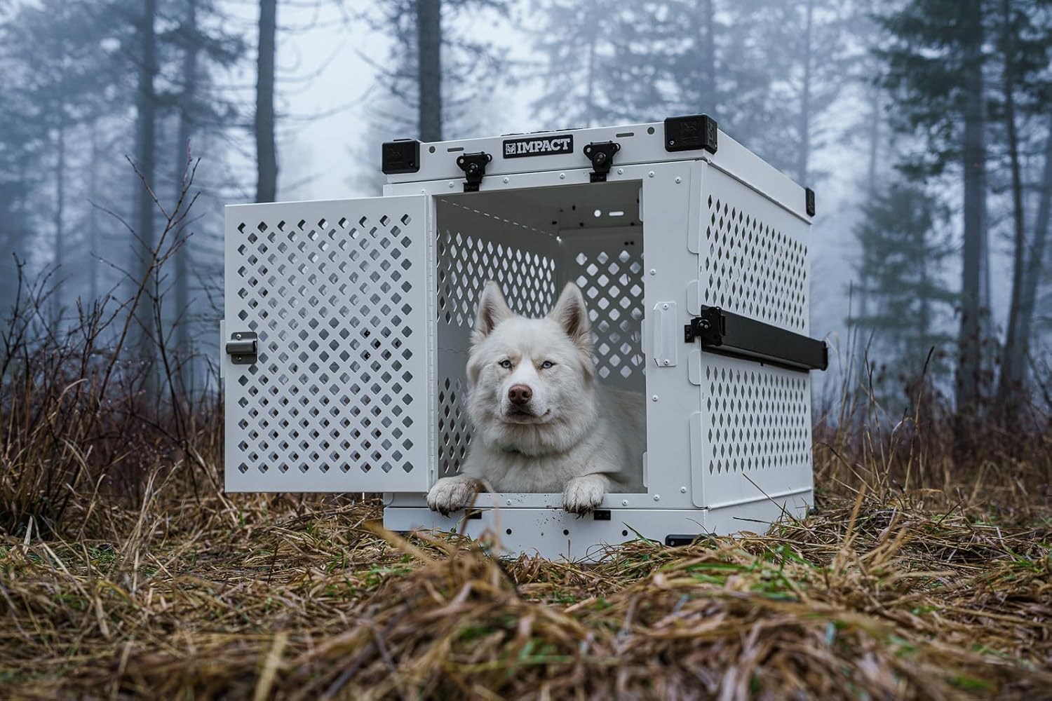 Impact Collapsible Dog Crate - Foldable Hard Crate for Intermediate Dogs