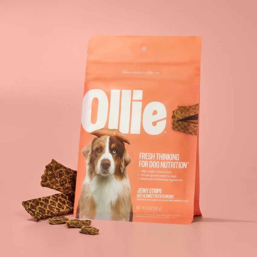 Ollie Jerky Healthy Dog Treats