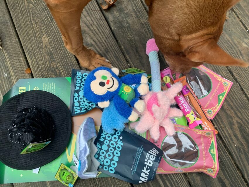 BarkBox Wicked Themed Box