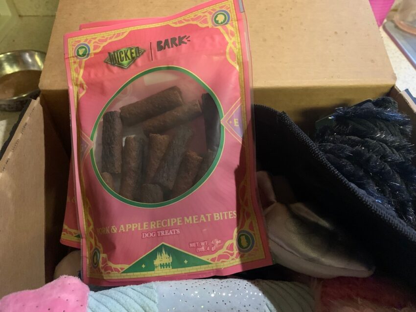 BarkBox Subscription Box for dogs