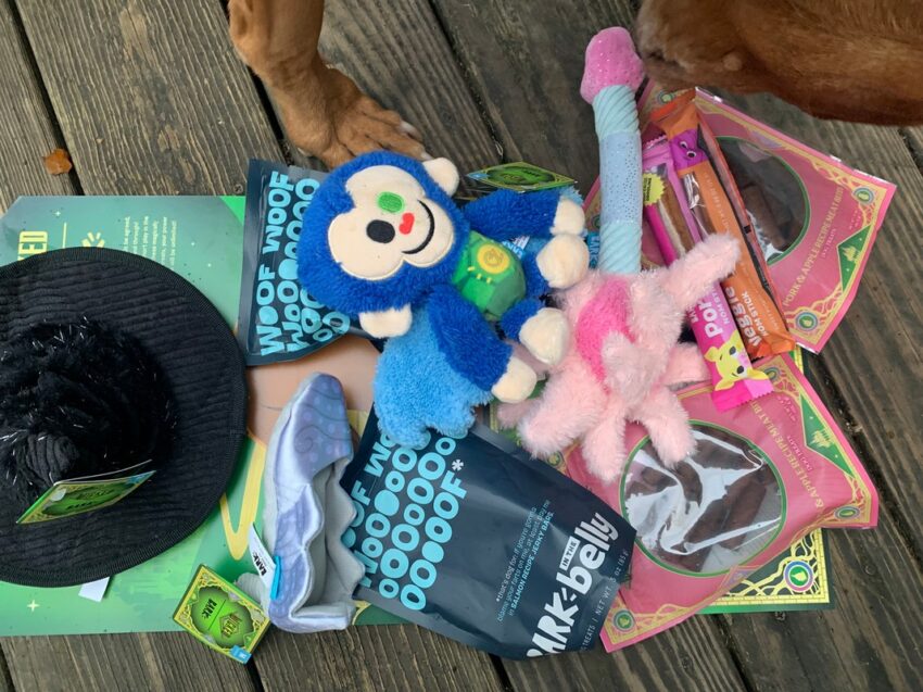 BarkBox Dog Subscription Box Review