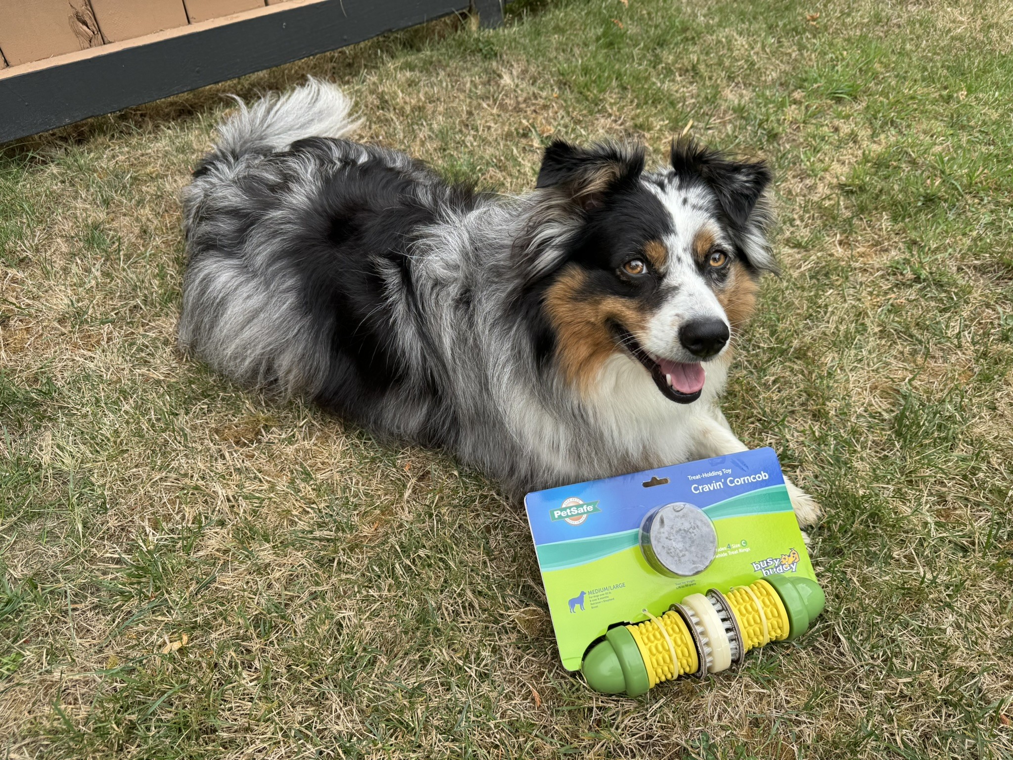 Busy Buddy® Cravin Corncob