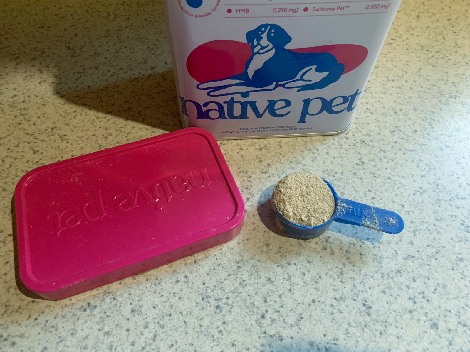 Native Pet Hip+Joint Advanced Care Review: Freya’s Experience with This Science-Backed Senior Dog Supplement