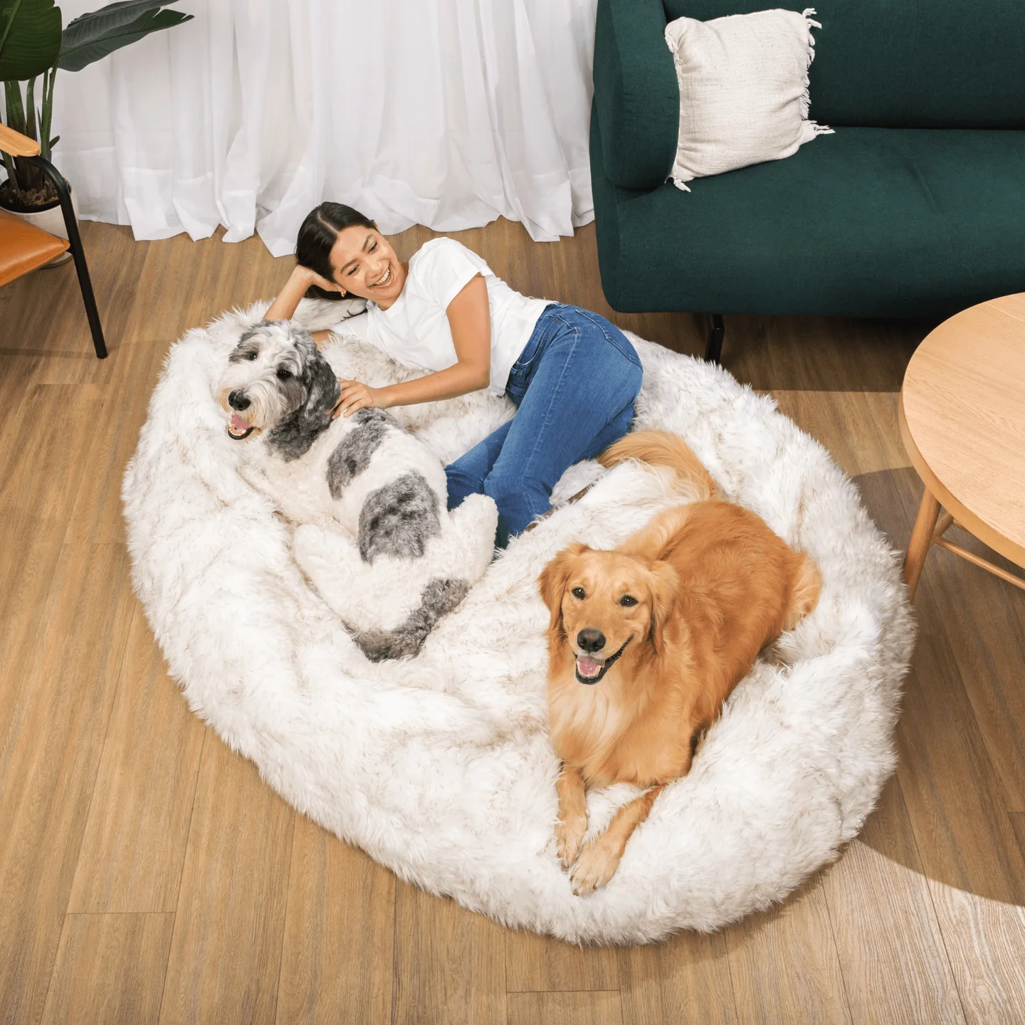 PupCloud Human Dog Beds Paw.com