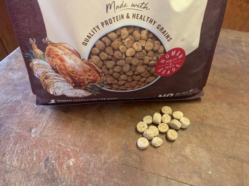 the honest kitchen dog food review