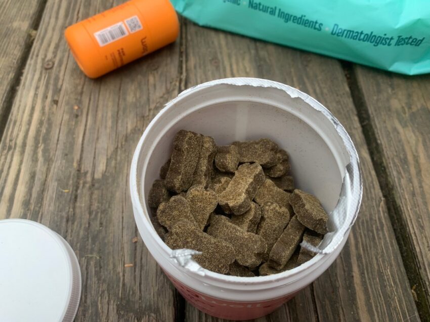 WagWell Allergy Chews b