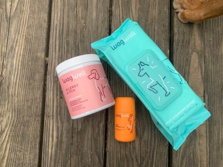 WagWell Itchy Dog Bundle