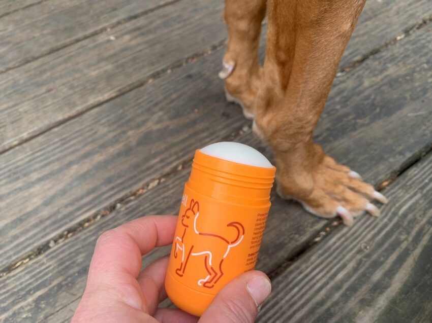 WagWell Paw Protector Balm