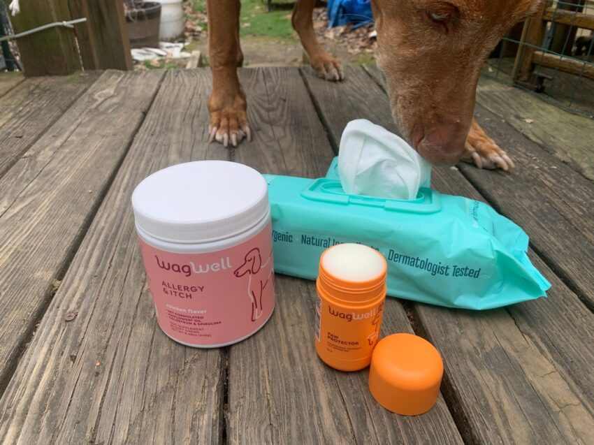 WagWell Daily Cleansing Wipes